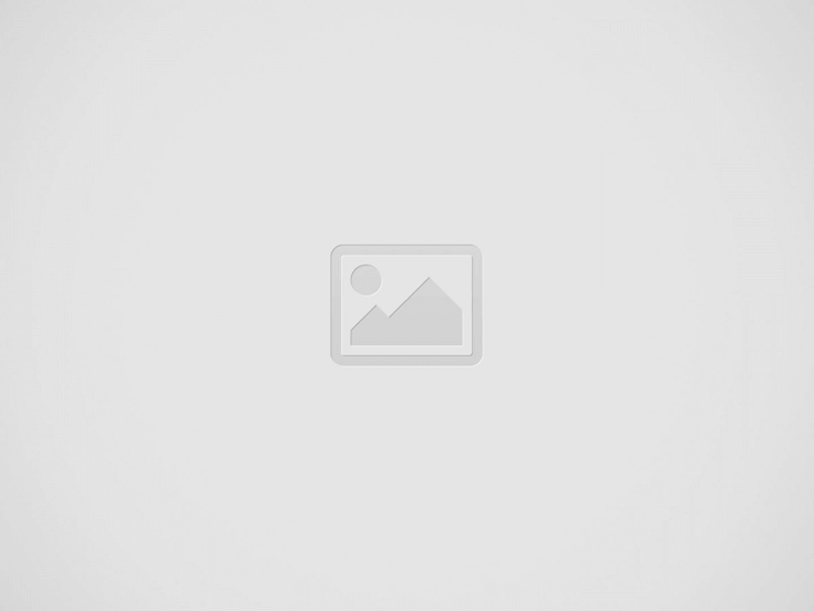 test visivo animali